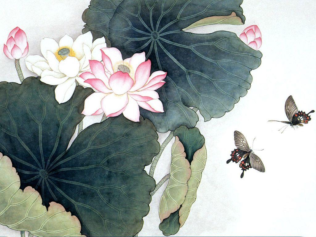 chinese lotus flower drawing