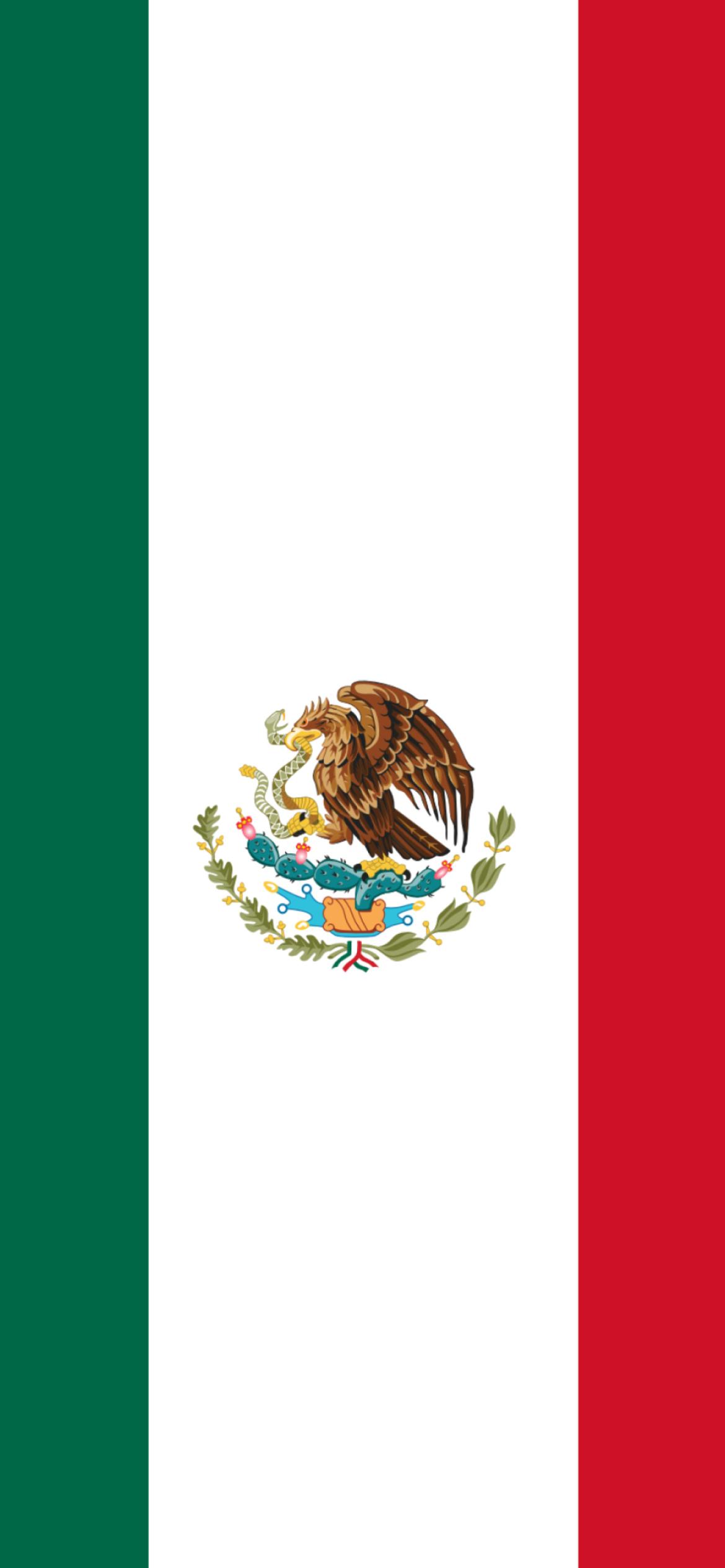 1170x2532 Mexican Flag Wallpaper for iPhone 11