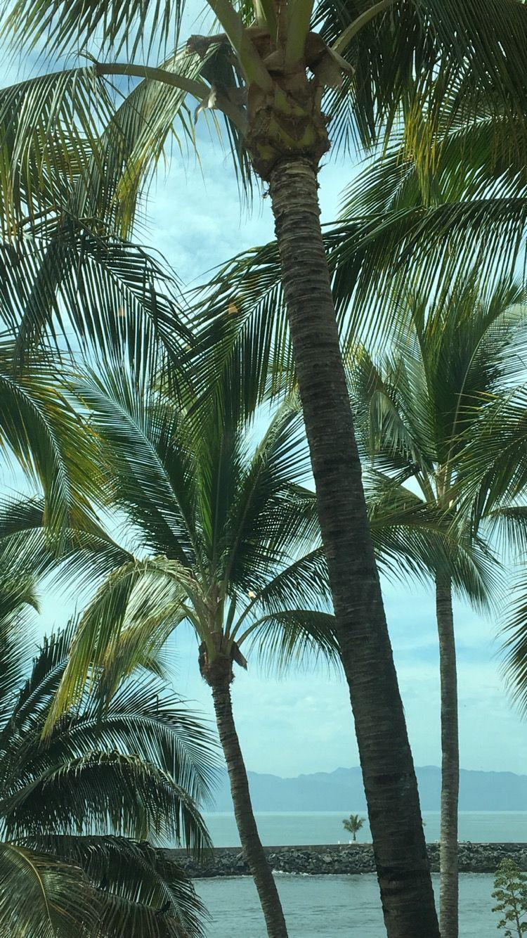 750x1334 Mexico. Sky aesthetic, Background, Phone wallpaper