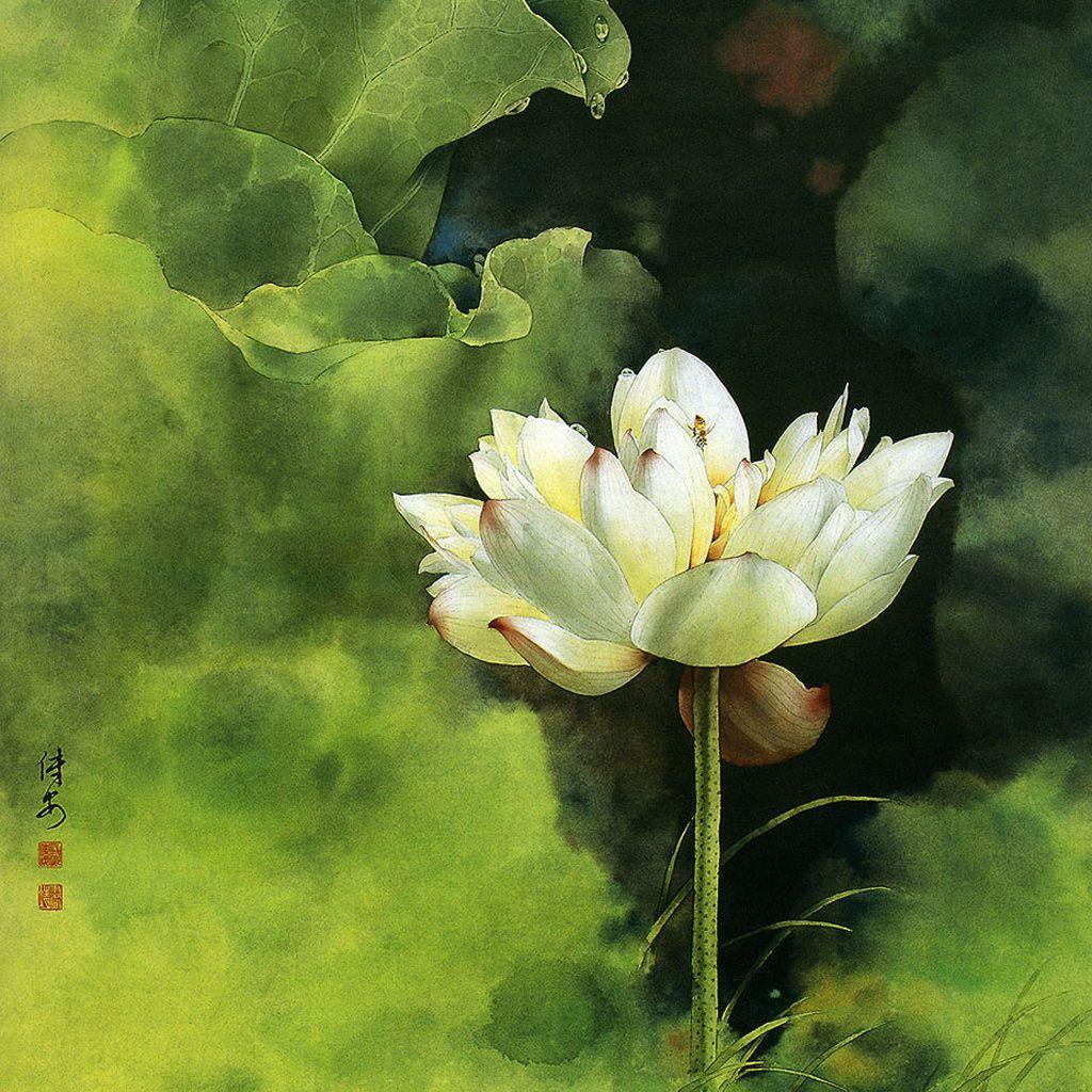 1024x1024 Chinese Painting Lotus. iPad Wallpaper free iPad