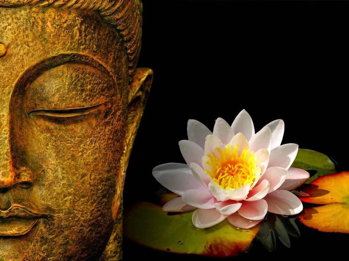 1180x882 Buddha Face With Lotus Flower HD (1180×882). New
