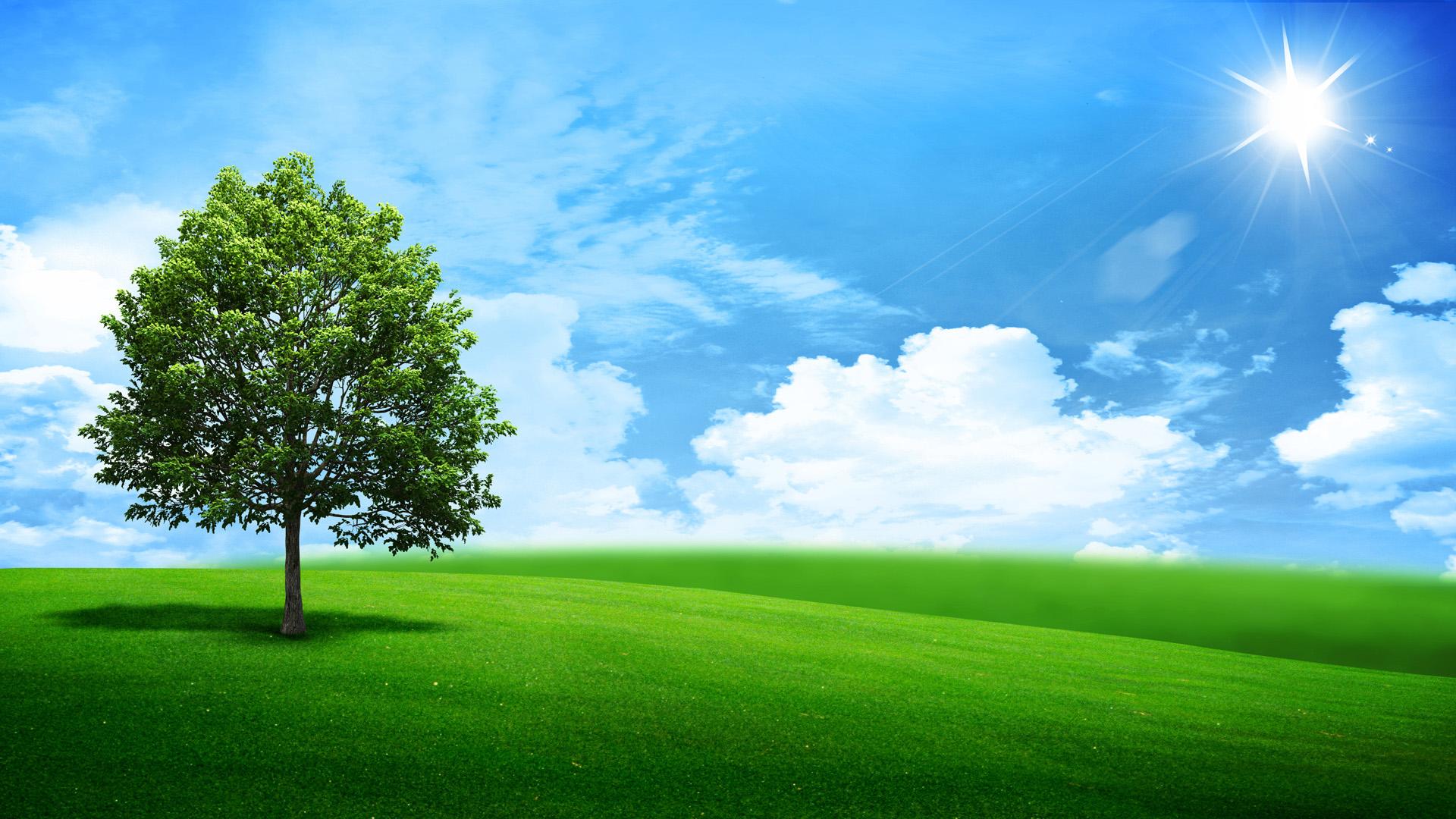 Green Banner Wallpapers - Top Free Green Banner Backgrounds -  WallpaperAccess