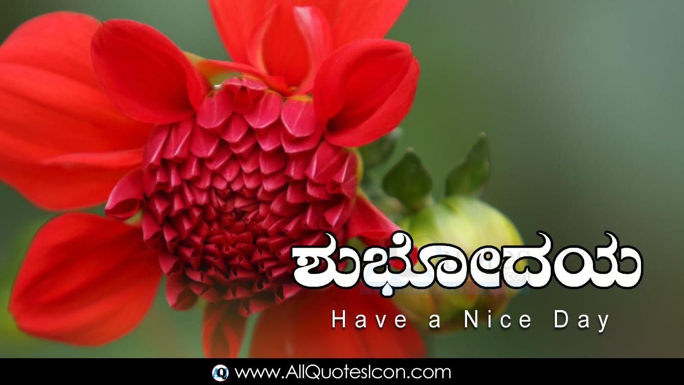1400x788 Malayalam Good Morning Quotes Wishes For Whatsapp Life HD Wallpaper
