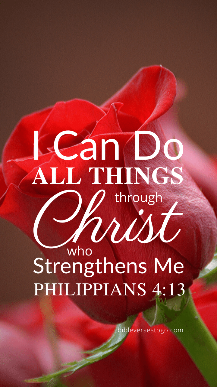 720x1280 Matthew 6 33 Phone HD Wallpaper