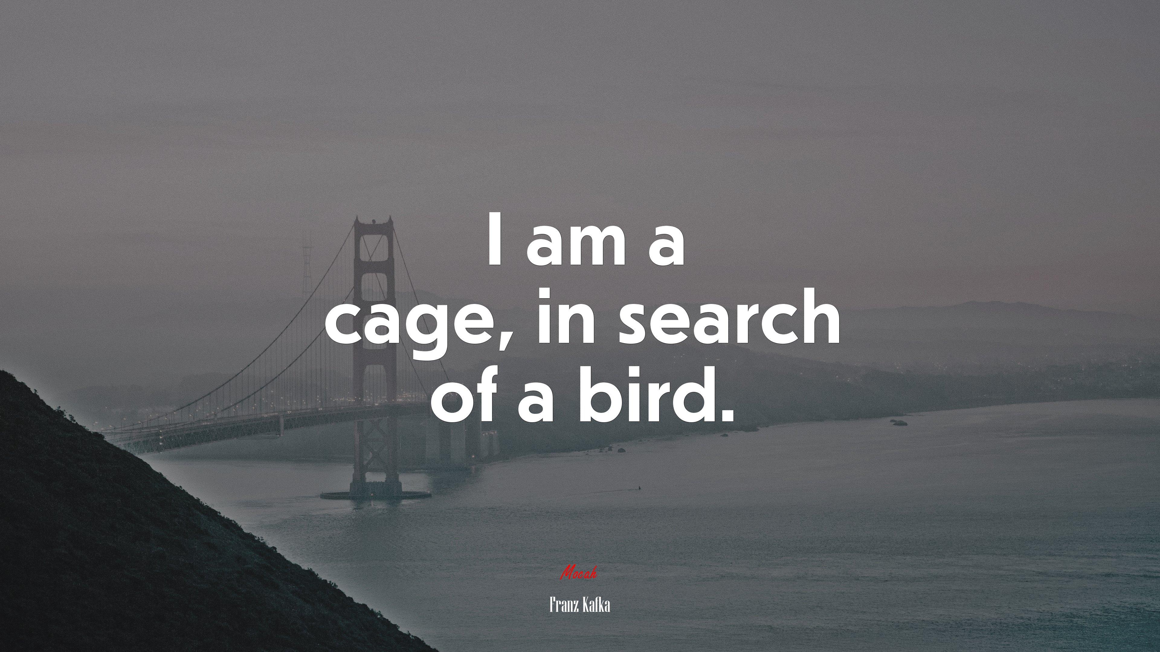 3840x2160 I am a cage, in search of a bird. Franz Kafka quote, 4k wallpaper. Mocah HD Wallpaper