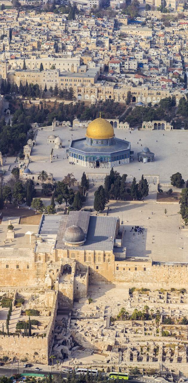 630x1280 AL Aqsa Mosque wallpaper