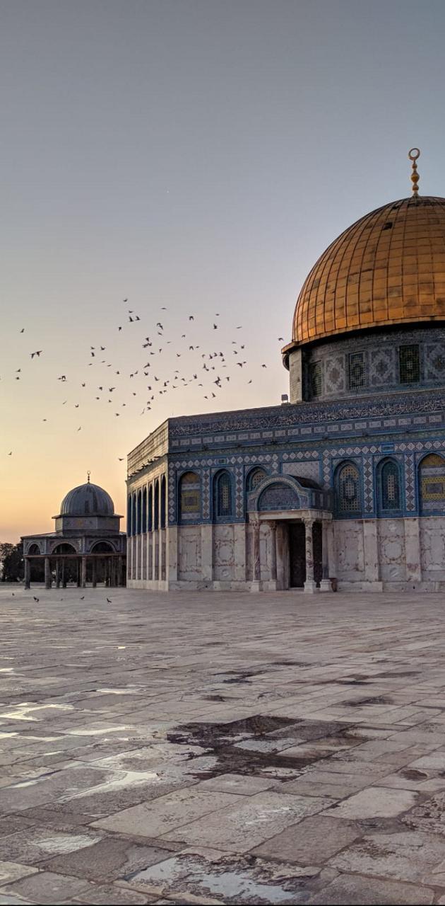 630x1280 Masjid Al Aqsa wallpaper