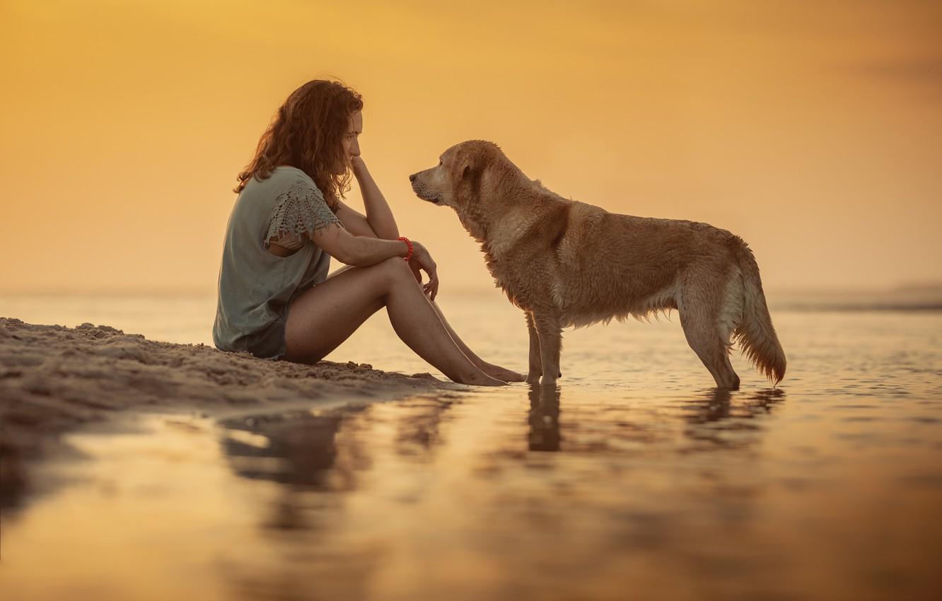 1332x850 Wallpaper girl, dog, girl, dog, Alexander Marks image for desktop, section ситуации