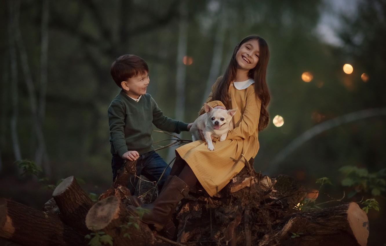1332x850 Wallpaper forest, joy, nature, children, animal, dog, boy, girl, stumps, dog, Julia Kubar image for desktop, section настроения