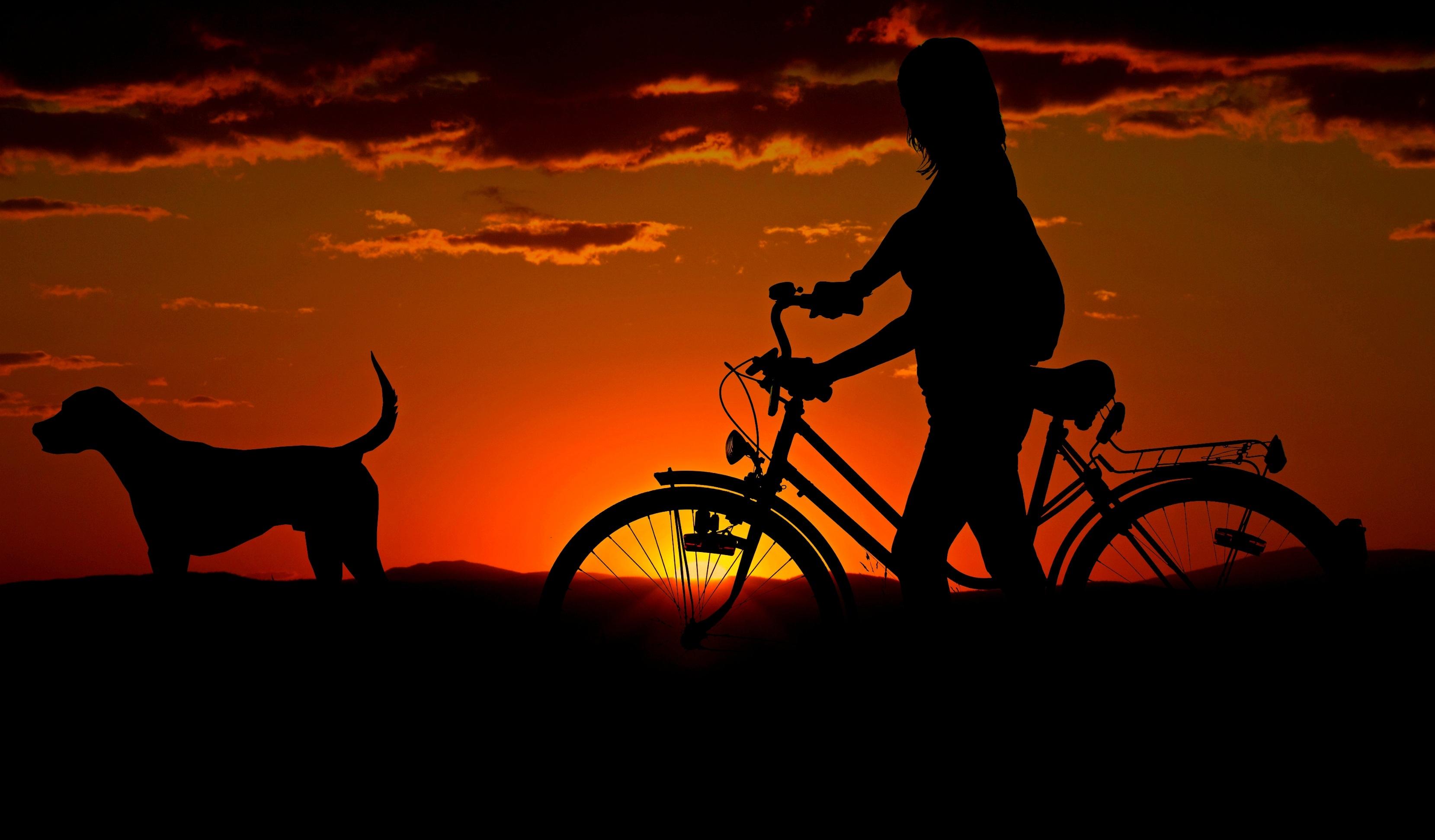 3318x1943 Girl Cycle Dog Morning Walk, HD Photography, 4k Wallpaper, Image, Background, Photo and Picture