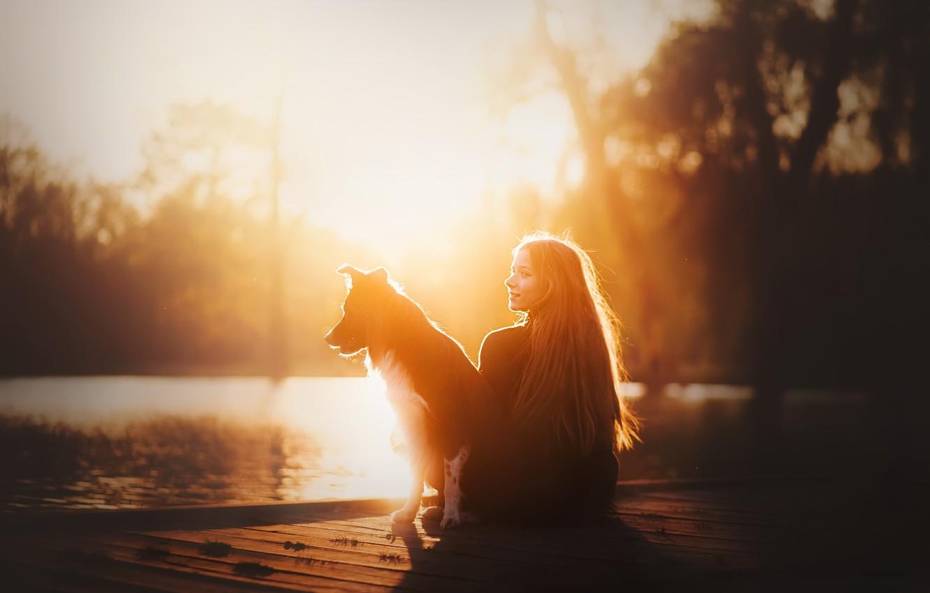 1332x850 Wallpaper girl, light, dog image for desktop, section настроения