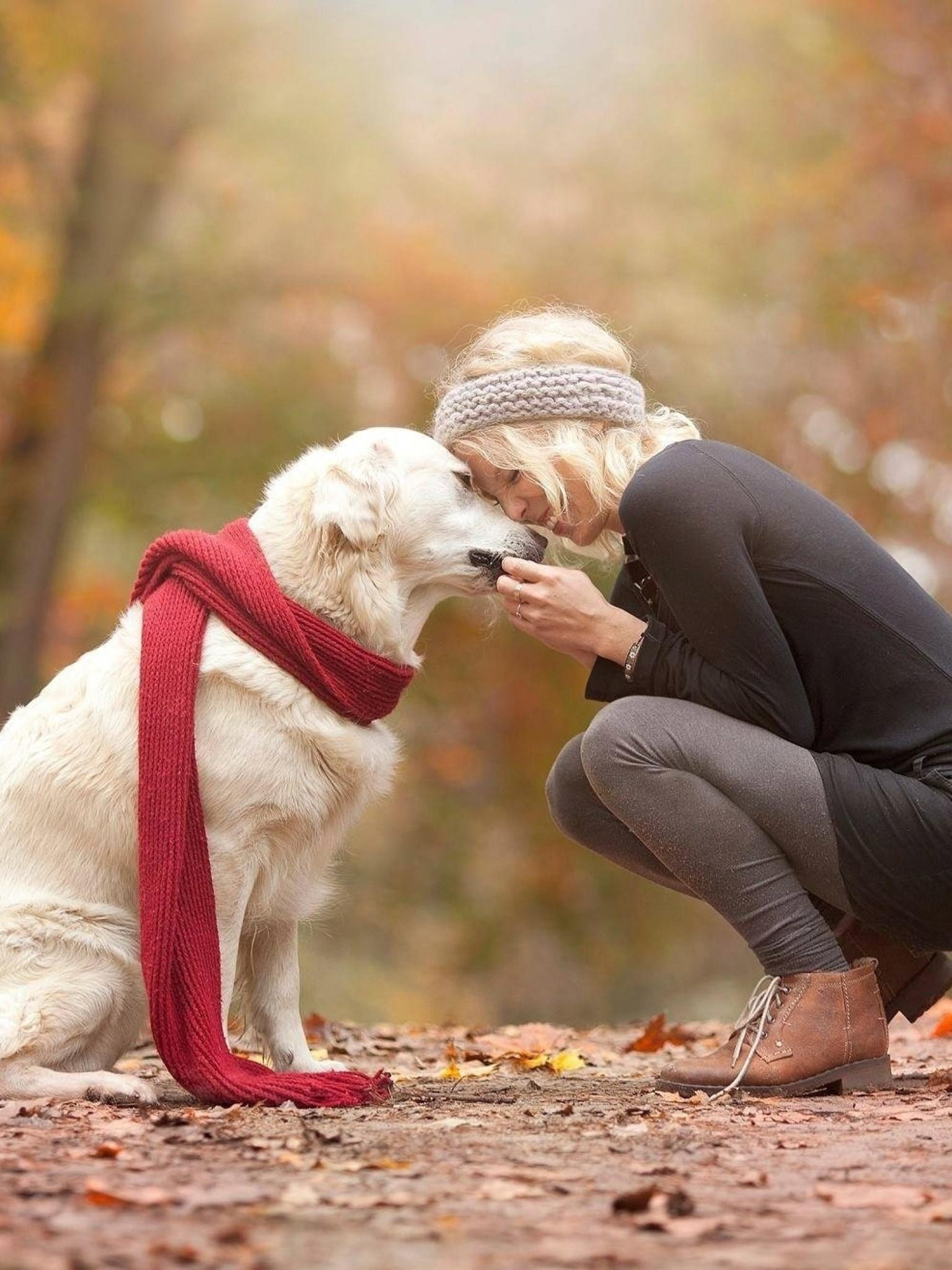 1536x2048 girl, dog, walk 1536x2048 Resolution Wallpaper, HD Girls 4K Wallpaper, Image, Photo and Background