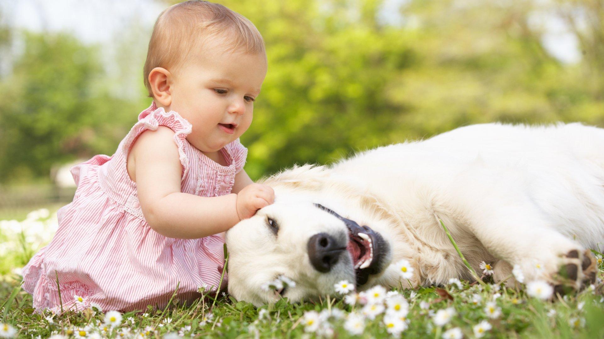 1920x1080 Cute Little Girl Playing With Dog HD wallpaper