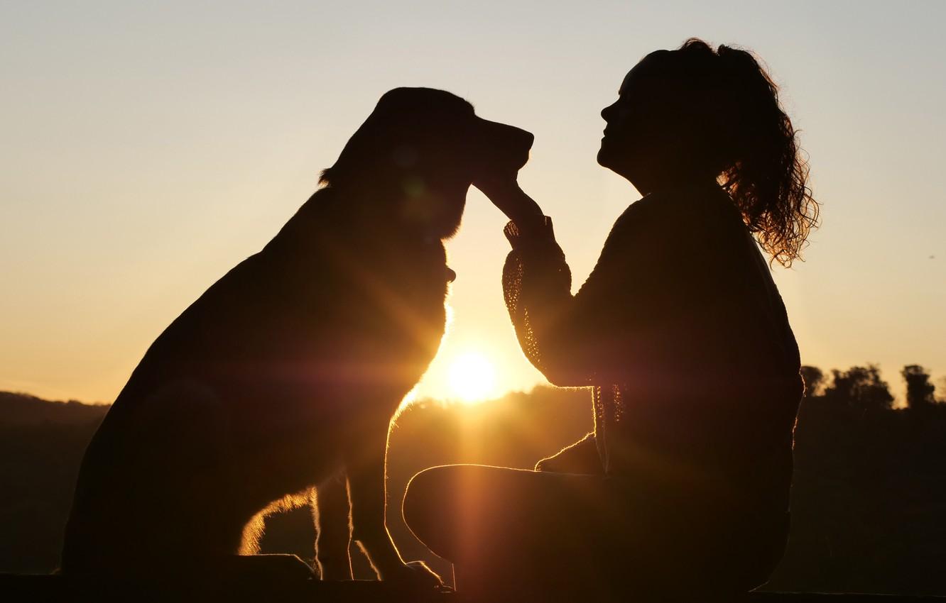 1332x850 Wallpaper sunset, Girl, dog image for desktop, section настроения