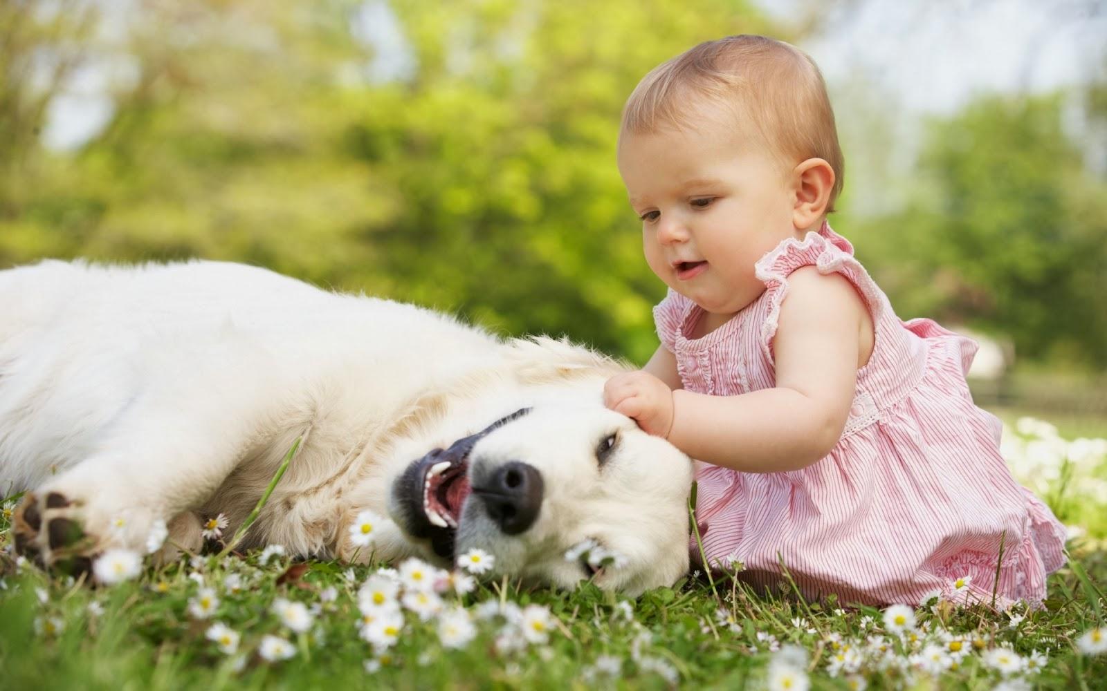 1600x1000 Cute Girl Playing With Dog