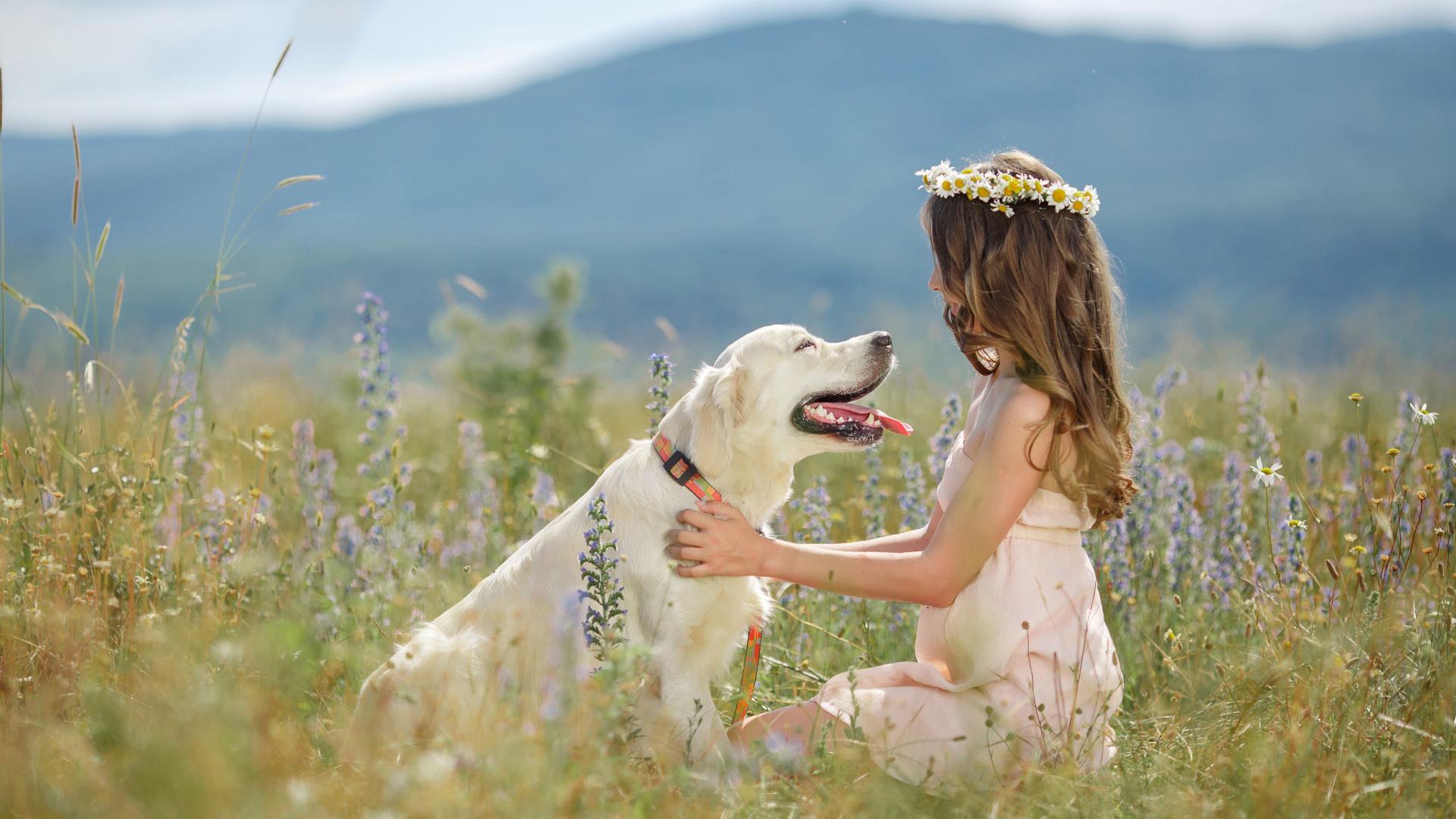 1920x1080 Girl, dog, friend, wreath, chamomile, beautiful wallpaper
