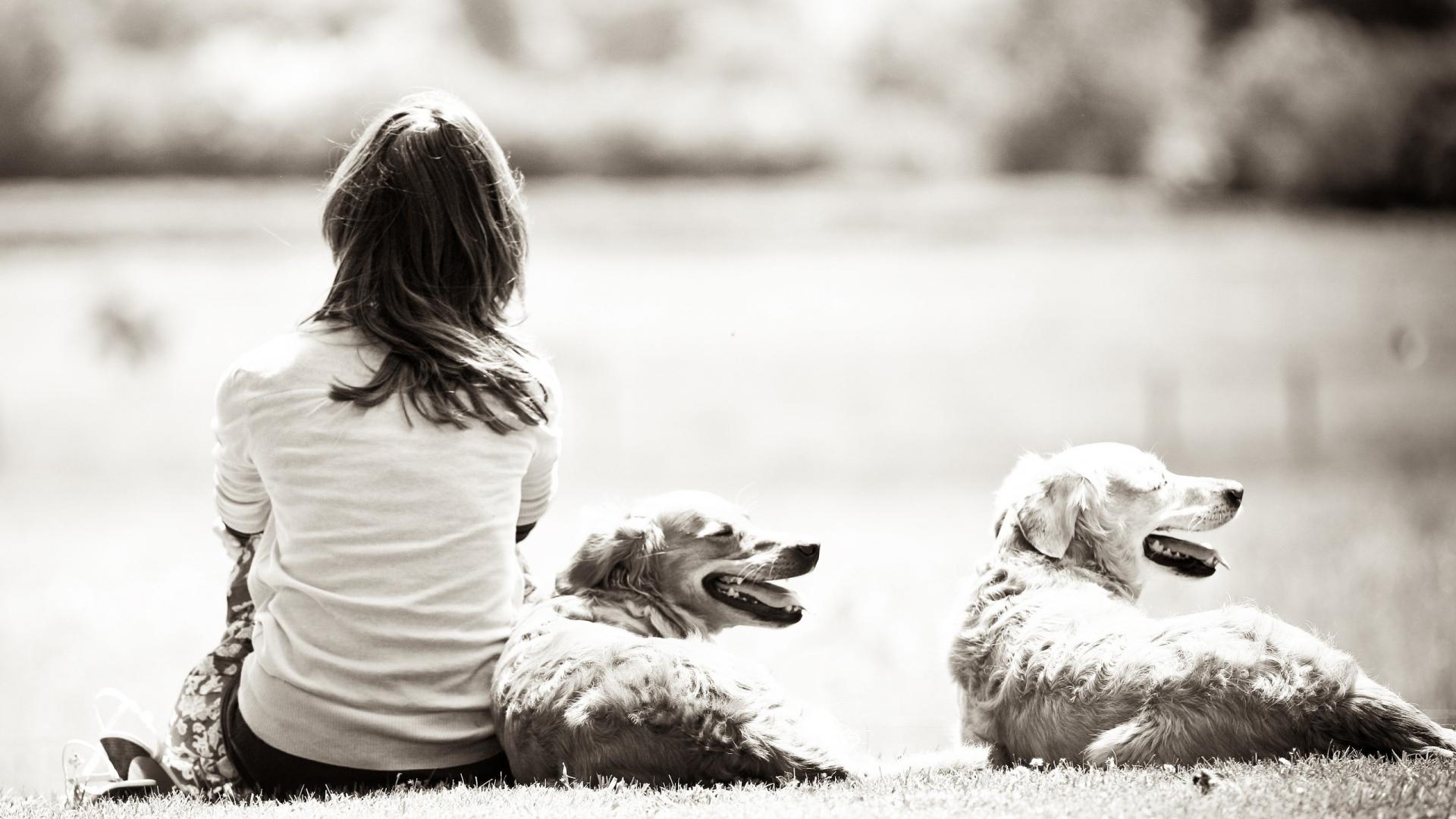 1920x1080 Download Wallpaper 1920x1080 girl, dog, nature, black white, walk, back Full HD 1080p HD Background