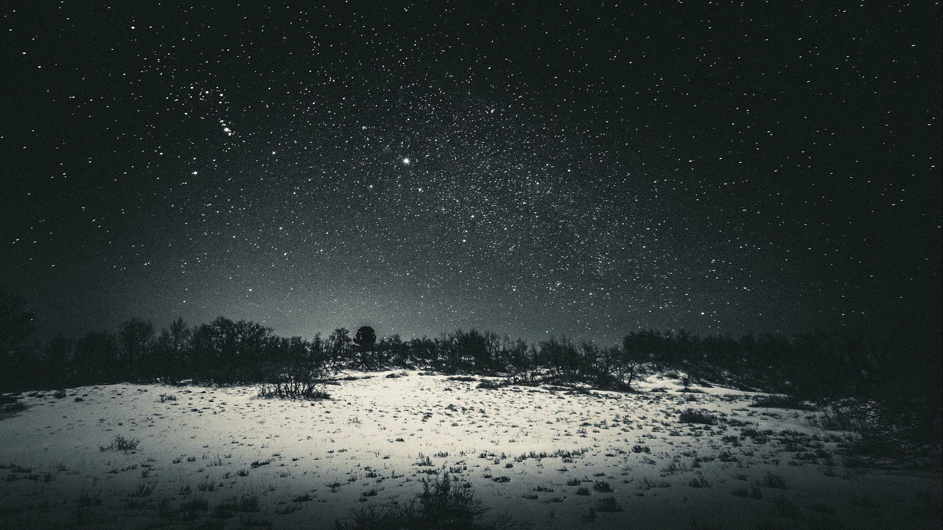 1920x1080 snow, Sky, Night, Dark, Black, Stars, Trees, Landscape Wallpaper
