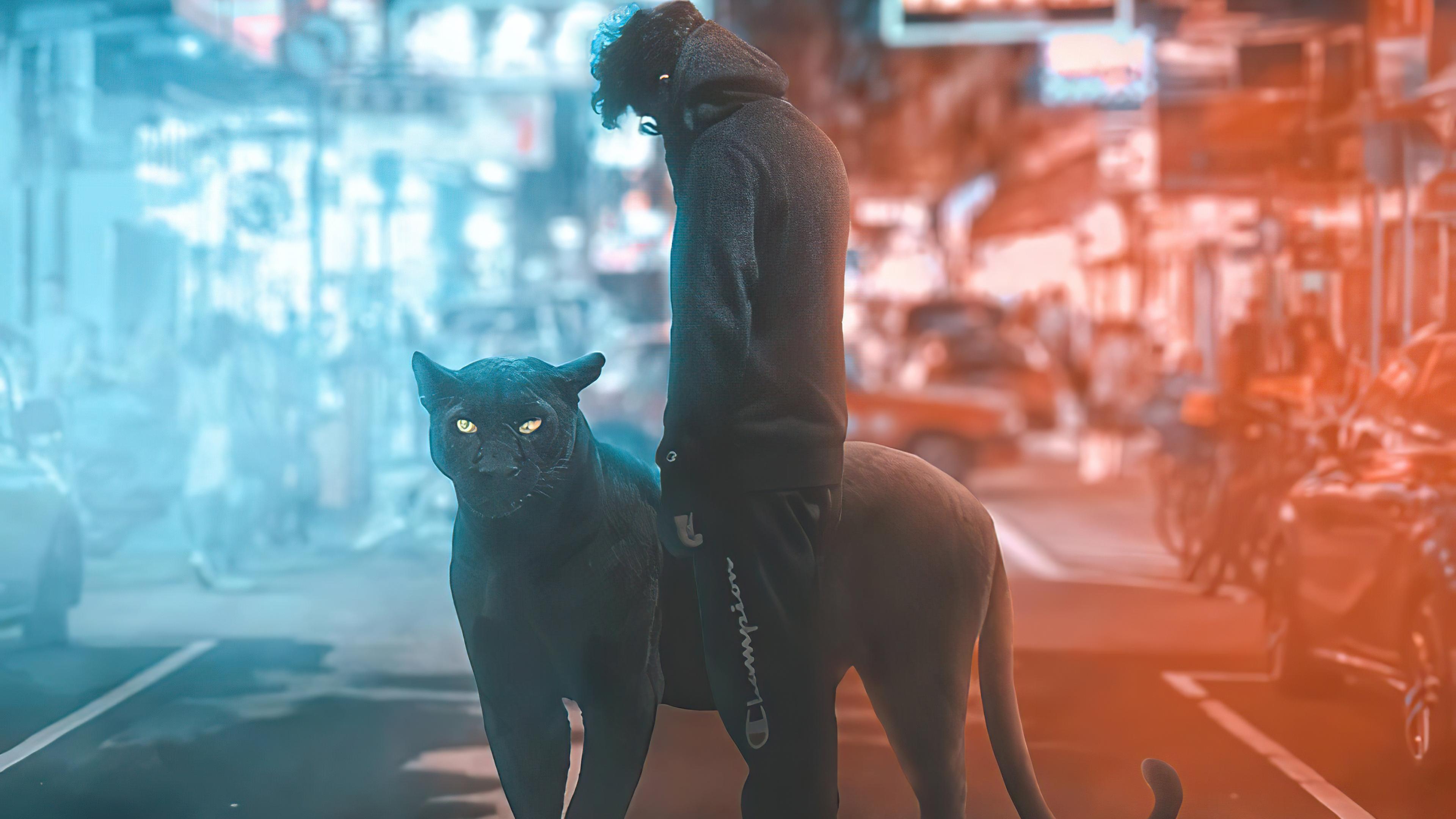3840x2160 Wallpaper 4k Black Panther And Hoodie Boy 4k Wallpaper