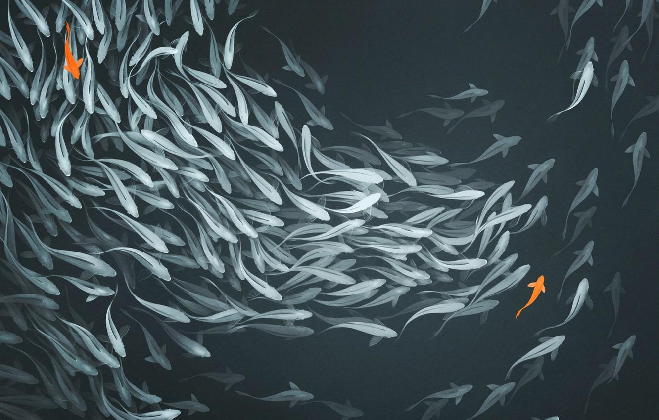 1332x850 Wallpaper Water, Minimalism, Pond, Fish, Style, Fish, Fish, Art, Art, Water, The view from the top, A lot, Style, Minimalism, Pond, GaudiBuendia image for desktop, section арт