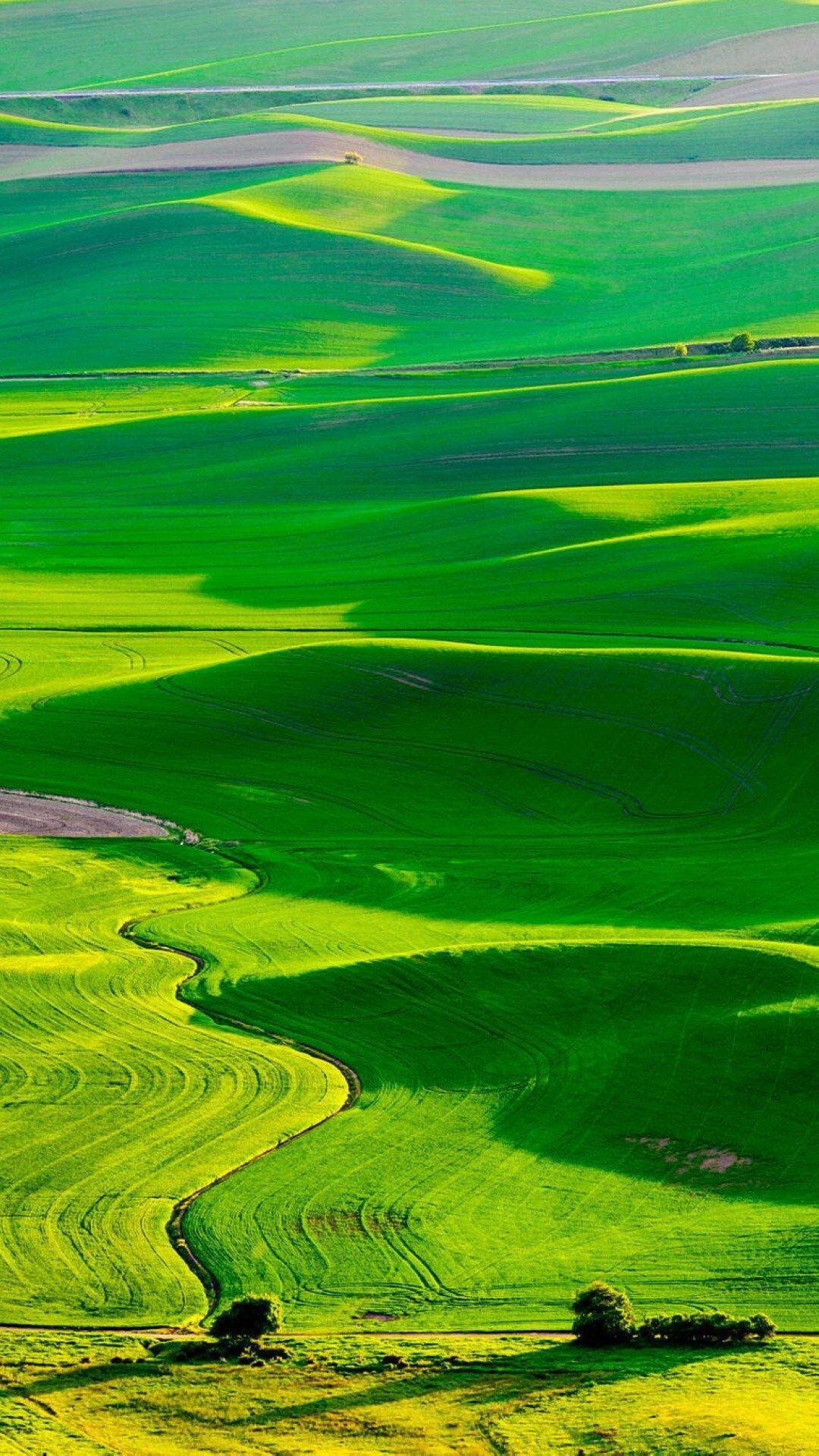 1080x1920 Nature Fresh Grassland Landscape #iPhone #plus #wallpaper