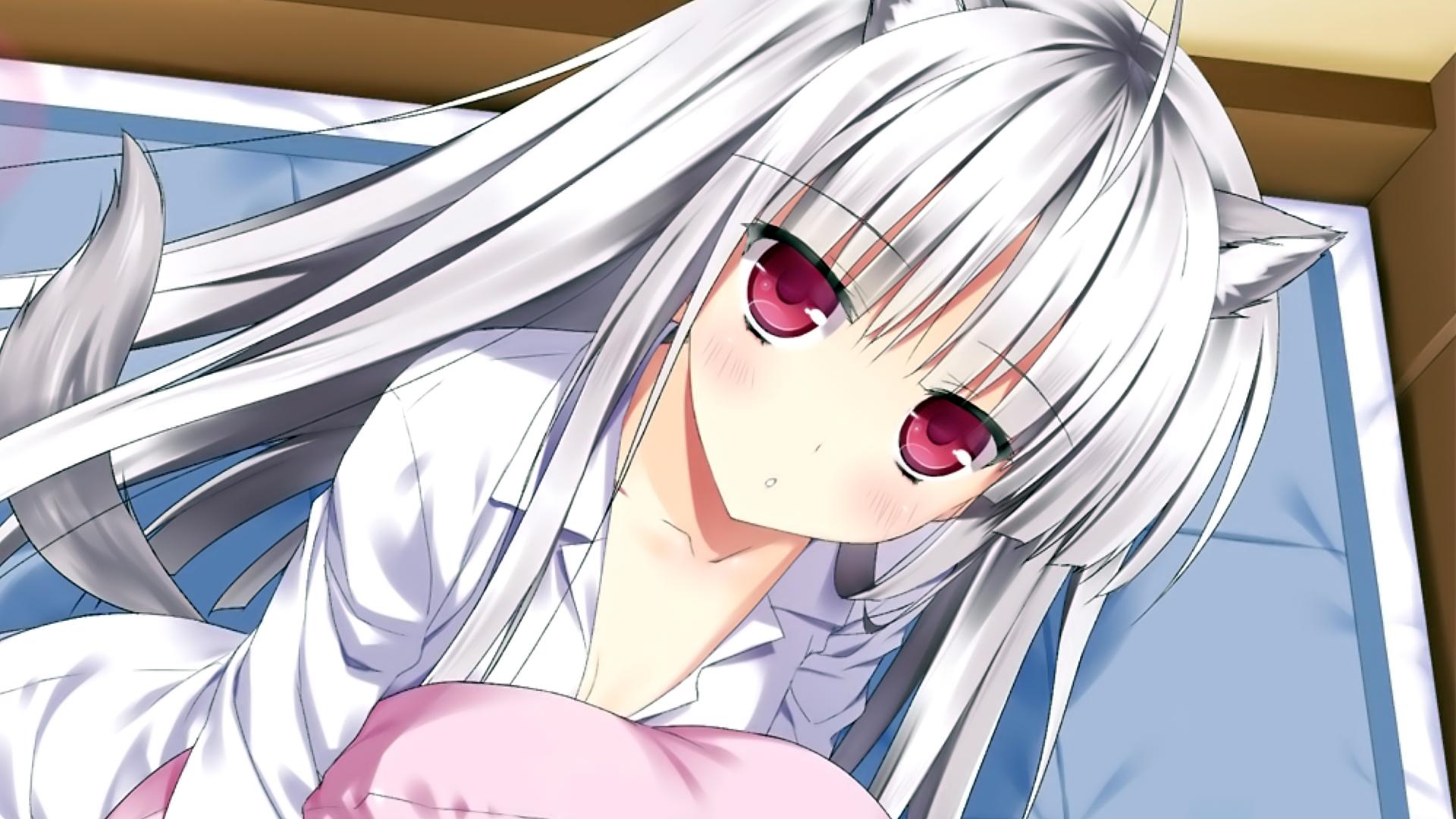 1920x1080 Absolute Duo Wallpaper HD HD Wallpaper