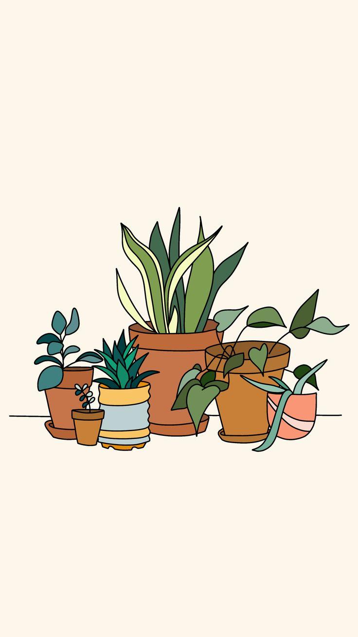 736x1308 My May Flowers. Cute flower drawing, Plant wallpaper, Plant drawing