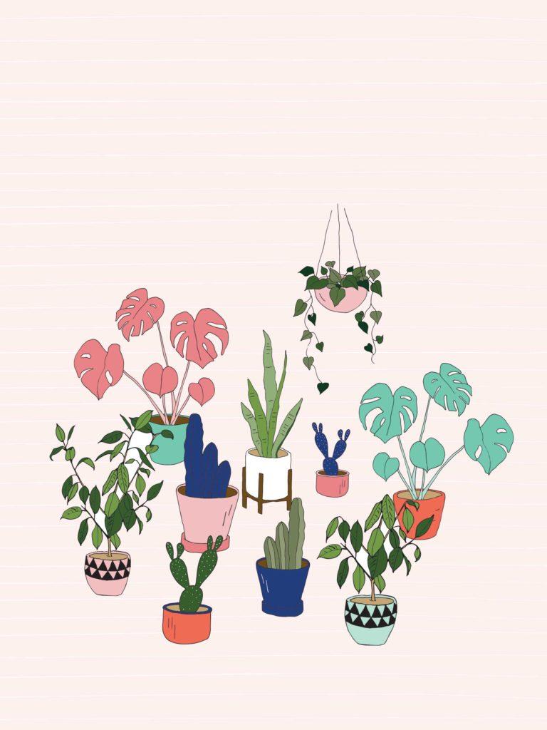 768x1024 Urban jungle pot plant desktop wallpaper