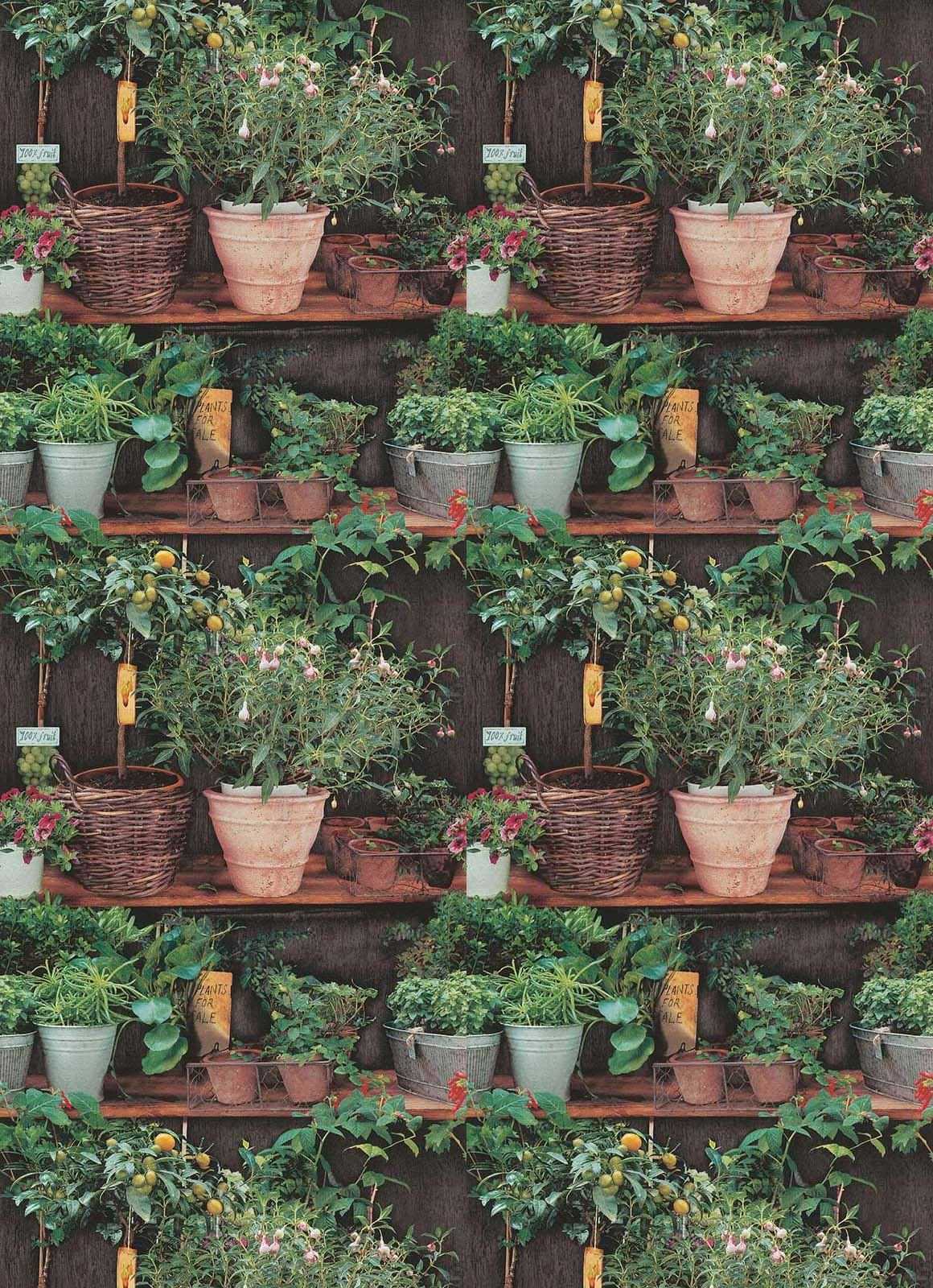 1160x1600 4K Plant Wallpaper