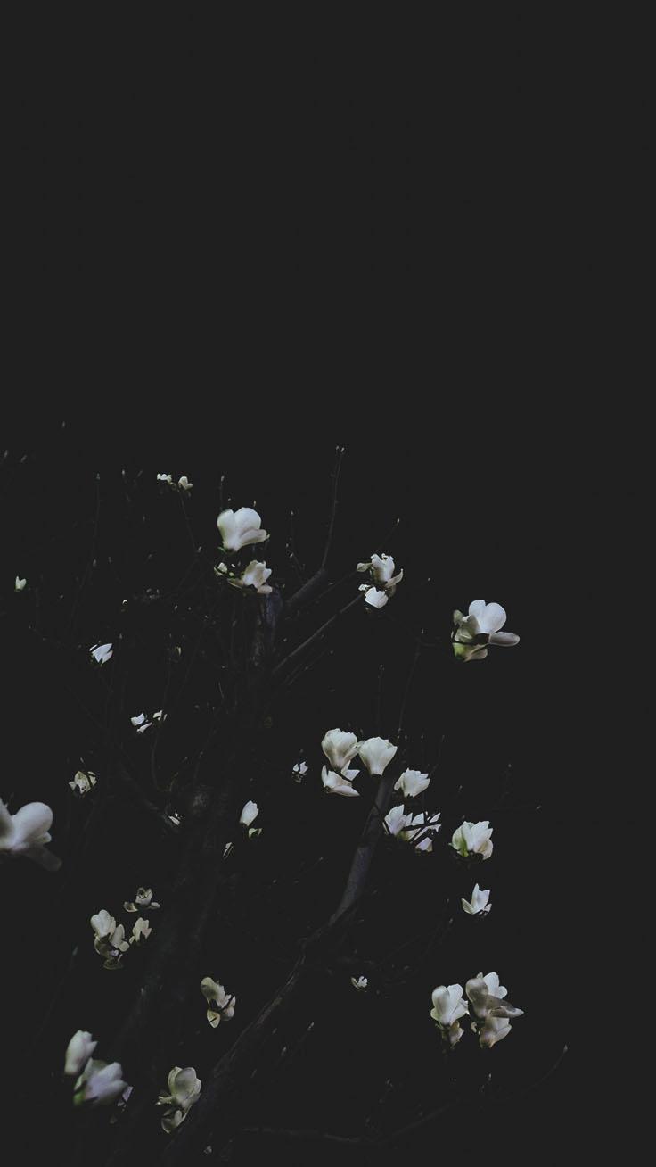 736x1308 Free download Take a Chill Pill with 10 Mindful iPhone Wallpaper Preppy [736x1308] for your Desktop, Mobile & Tablet. Explore Mindful Background