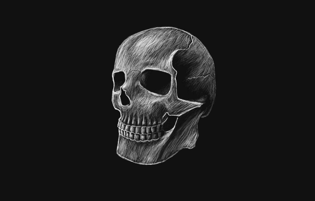 1332x850 Wallpaper the dark background, skull, head, skeleton image for desktop, section минимализм