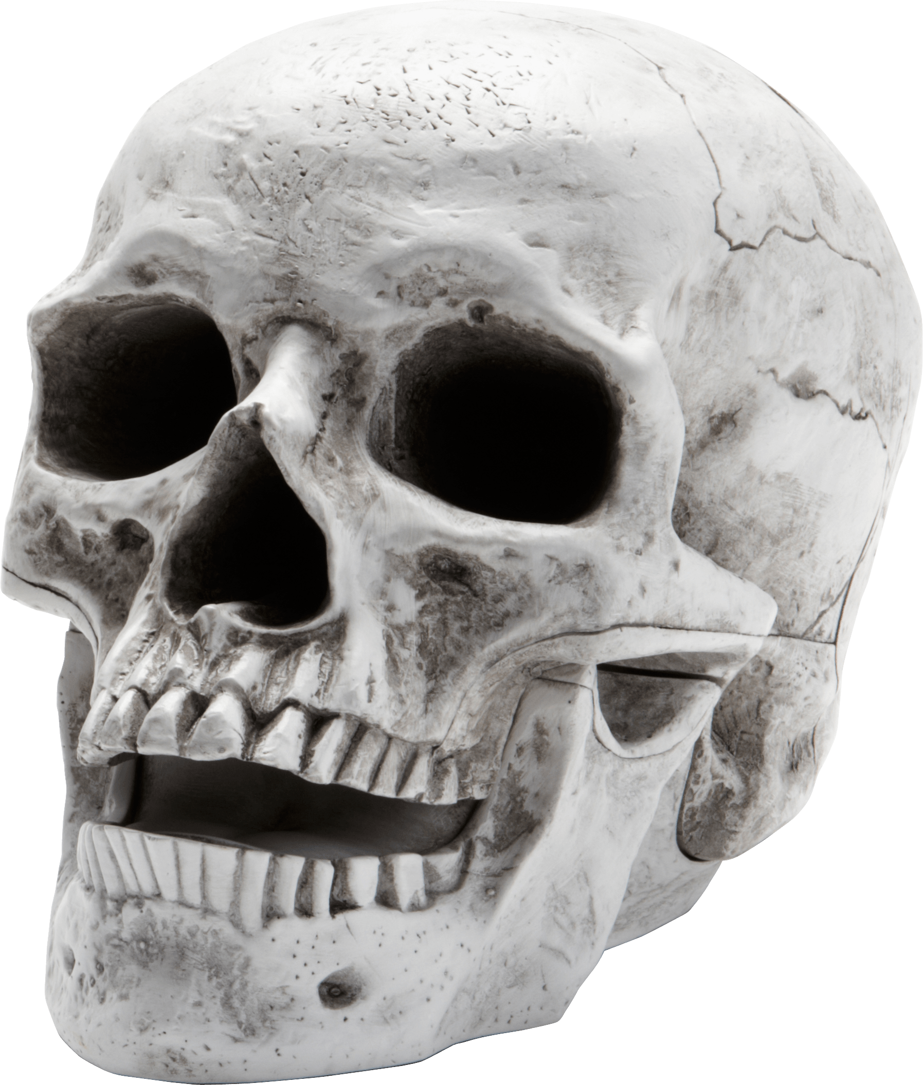 1795x2111 Skull Png Image Png Download Head No Background