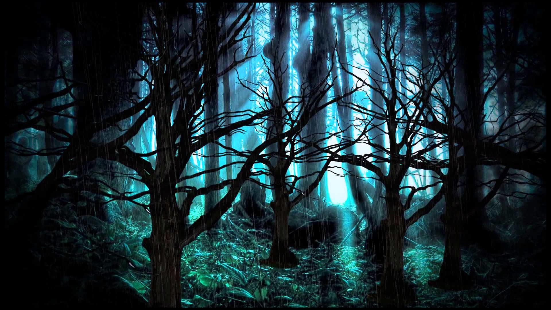 1920x1080 Download Original Size Data Src Dark Forest Background HD Wallpaper