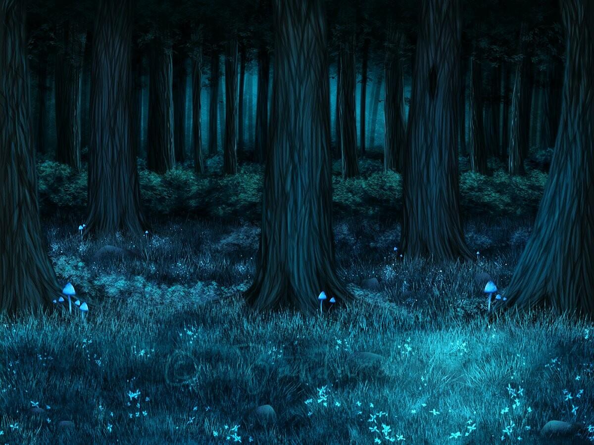 1200x900 Dark Forest Background, Bandarai Art