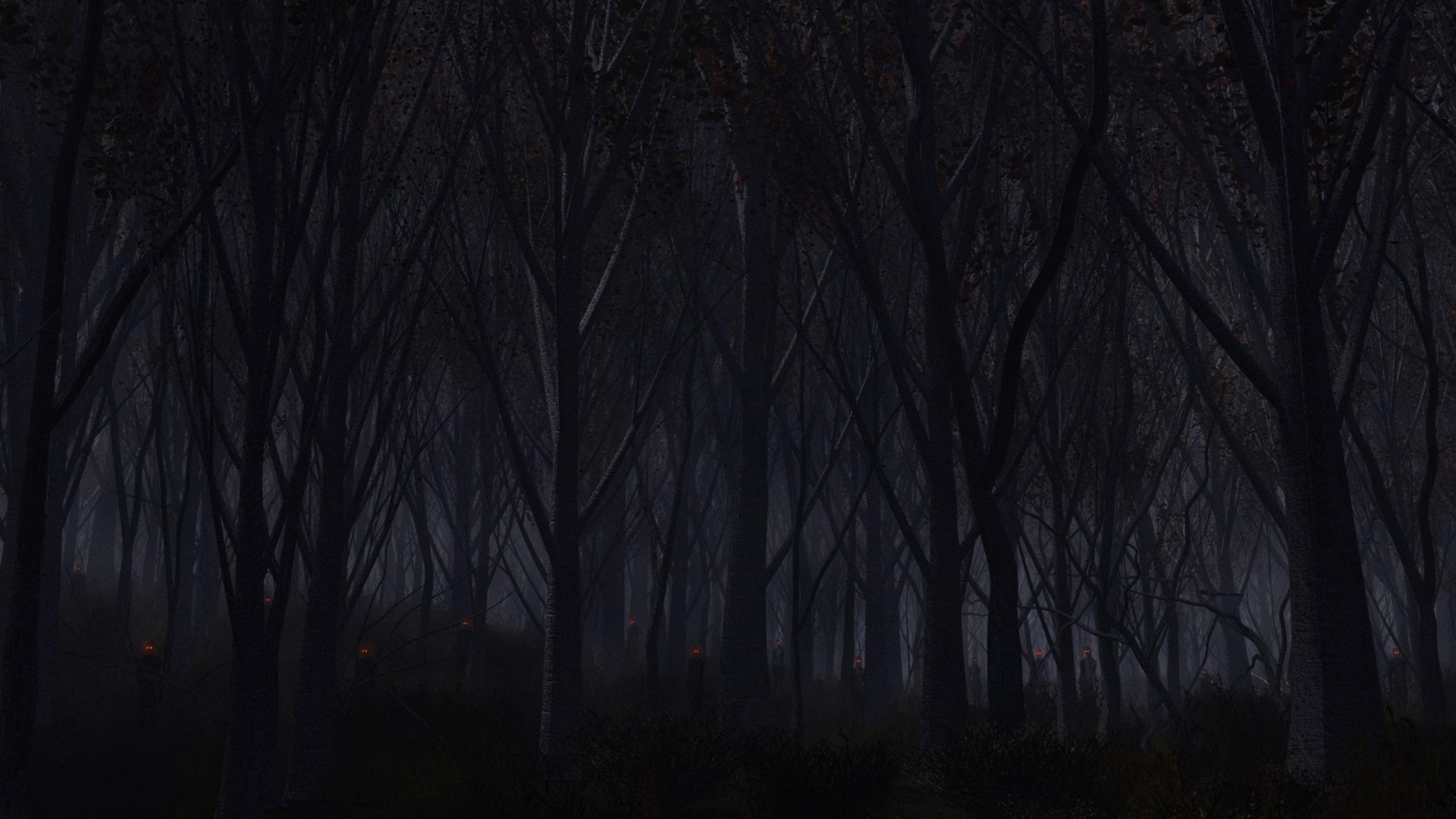 2560x1440 Forest Dark 1440P Resolution HD 4k Wallpaper, Image, Background, Photo and Picture