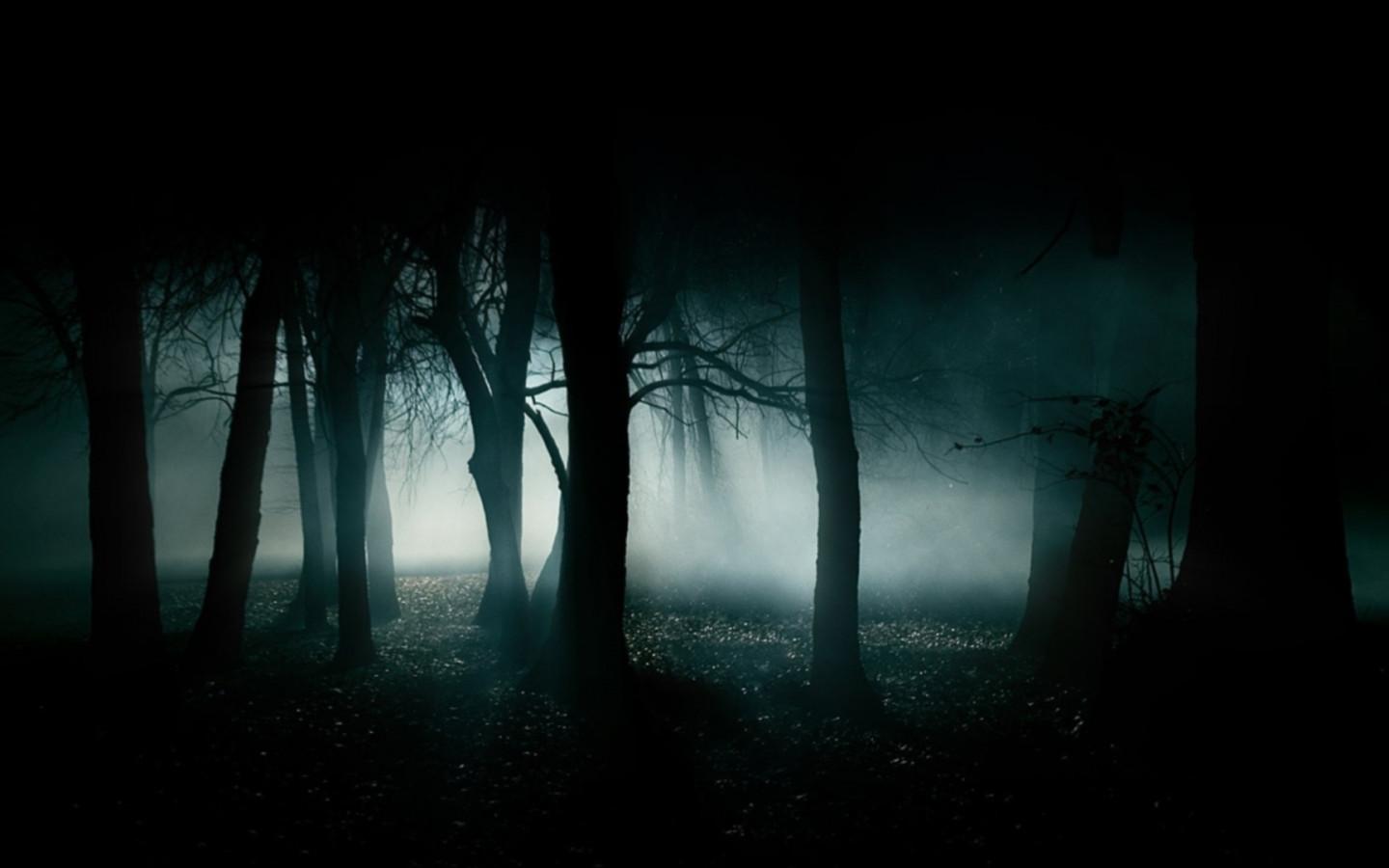1440x900 Dark Jungle Wallpaper 08350