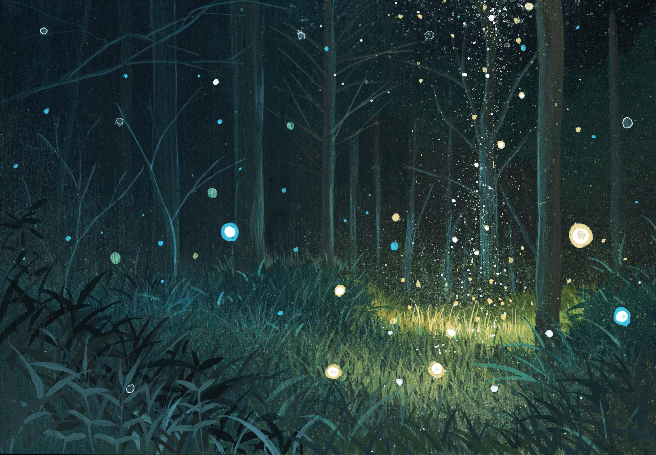 2644x1835 dark forest gemi grass night nobody original scenic tree. konachan.com.com Anime Wallpaper