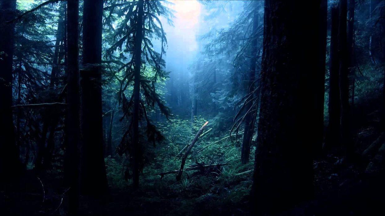 1244x700 Dark forest light spooky wallpaperx1080