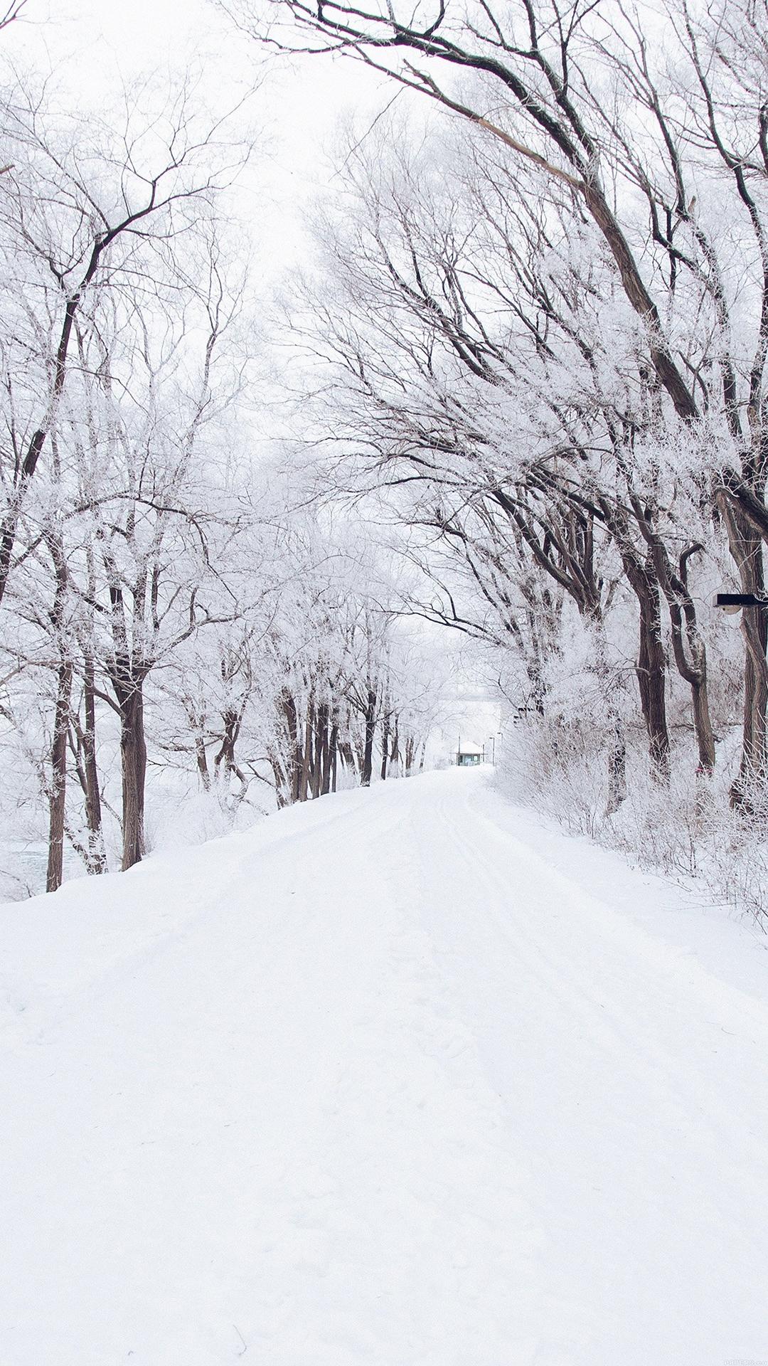 1080x1920 Winter Road Wallpaper For iPhone Wallpaper iPhone