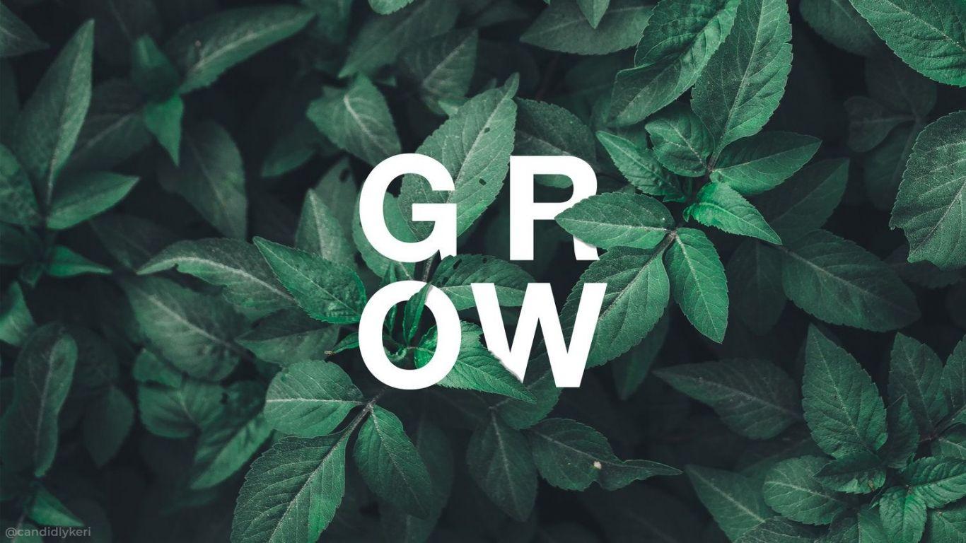 1366x768 Green Aesthetic Desktop Wallpaper, HD Green Aesthetic Desktop Background