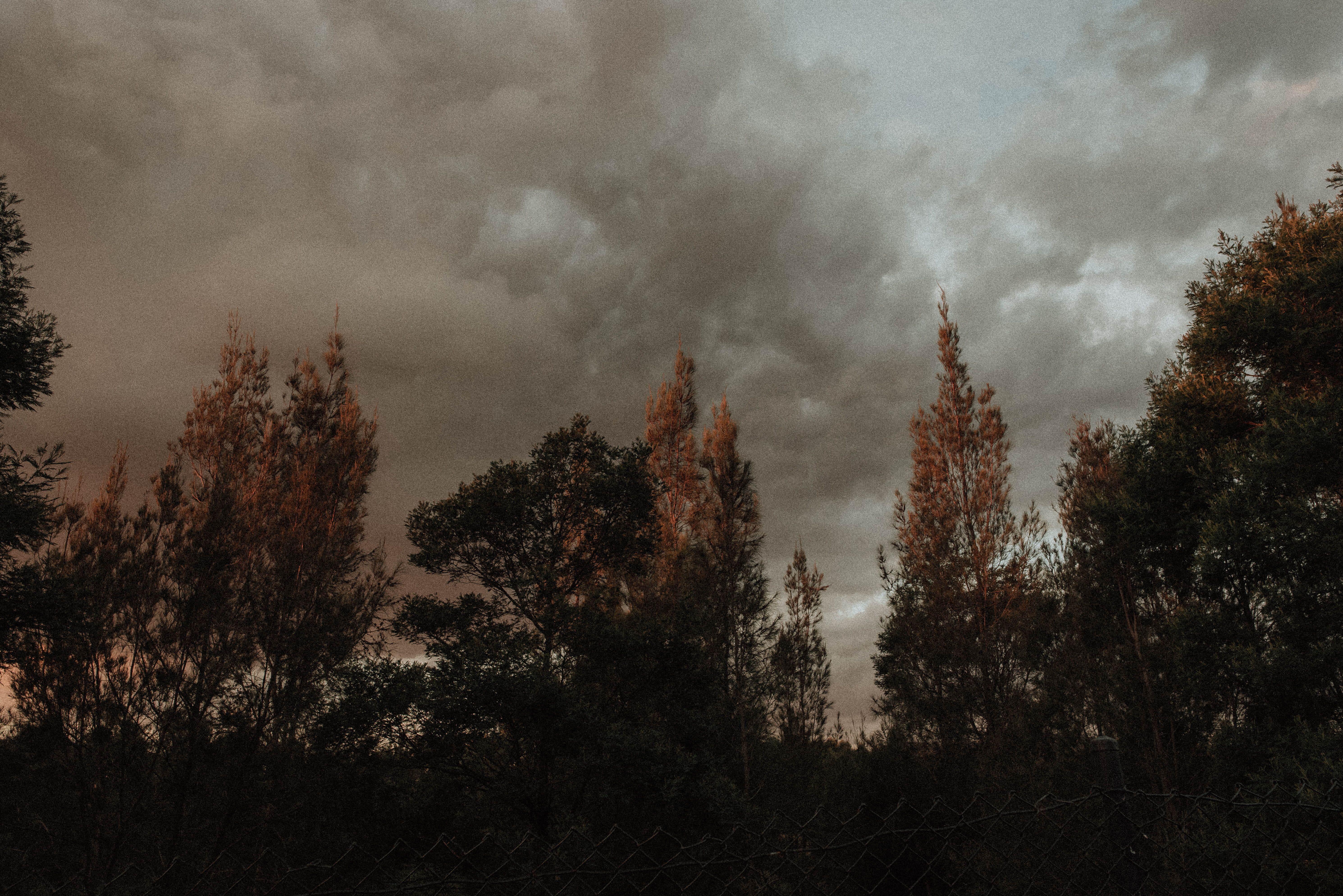 5960x3979 Free download aesthetics grunge vintage retro tumblr sky anture landscape [5960x3979] for your Desktop, Mobile & Tablet. Explore Grunge Aesthetic Desktop Wallpaper. Grunge Aesthetic Wallpaper, Grunge Wallpaper, Grunge Wallpaper