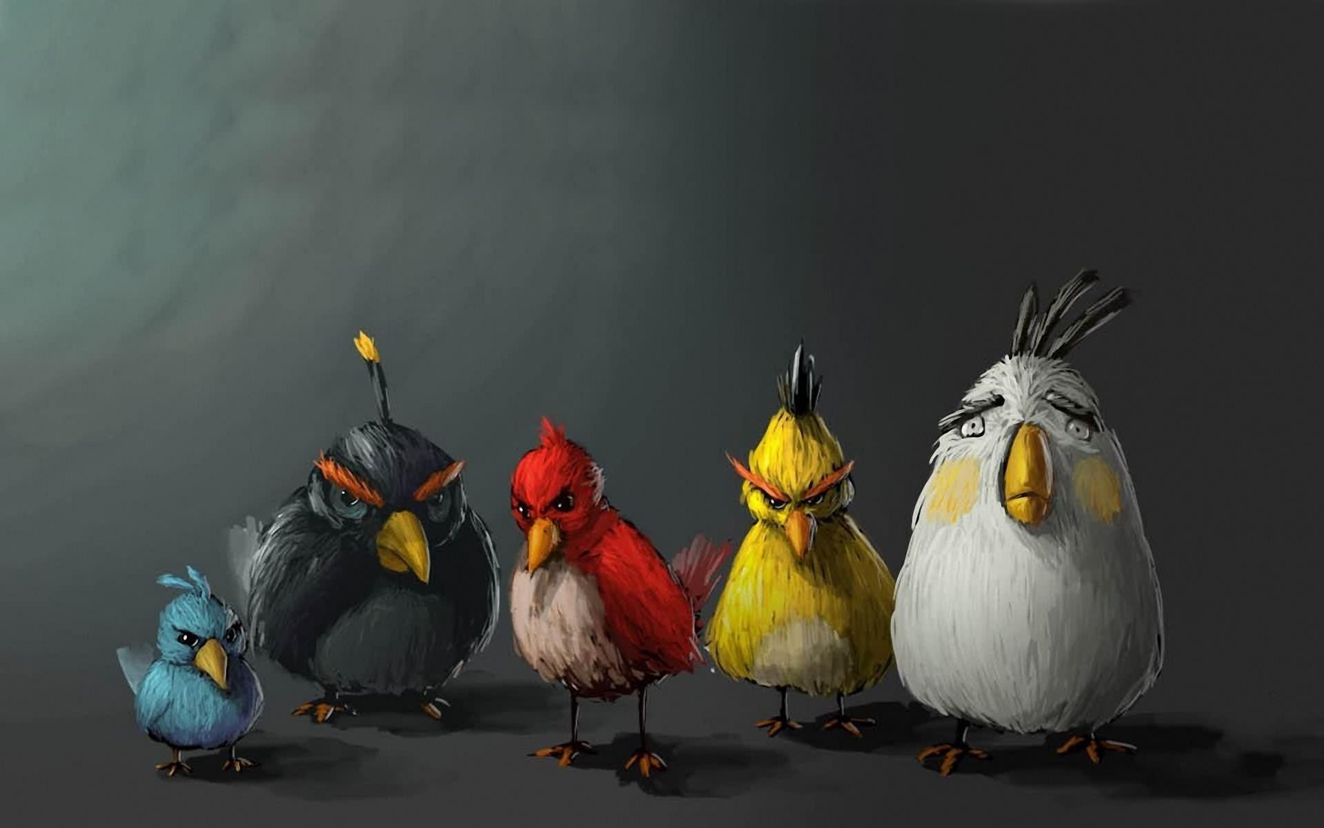 Angry Birds Funny Wallpapers - Top Free Angry Birds Funny Backgrounds -  WallpaperAccess