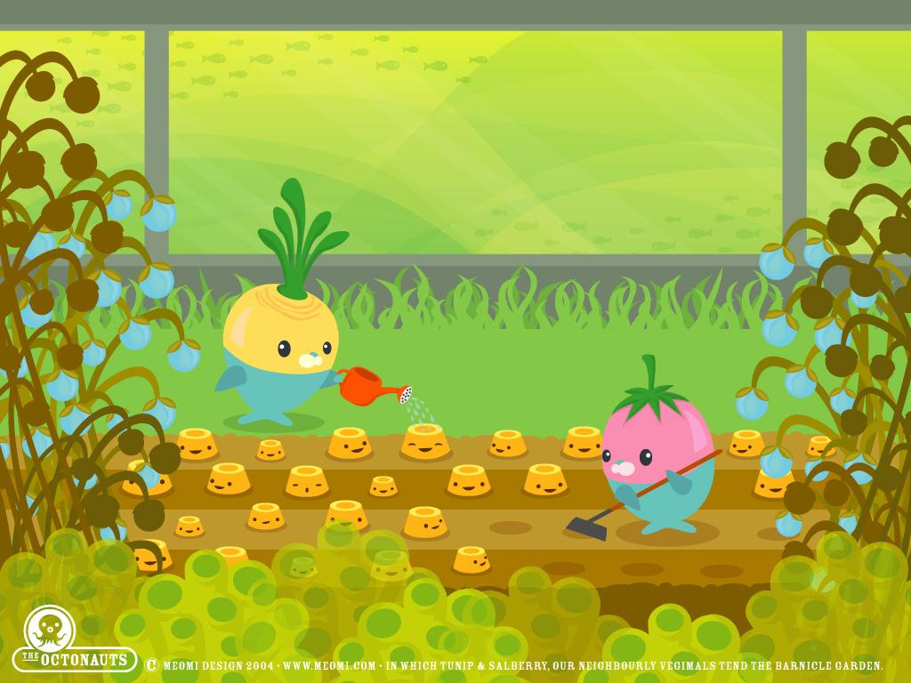 1024x768 Octonauts wallpaper♥♥♥♥♥