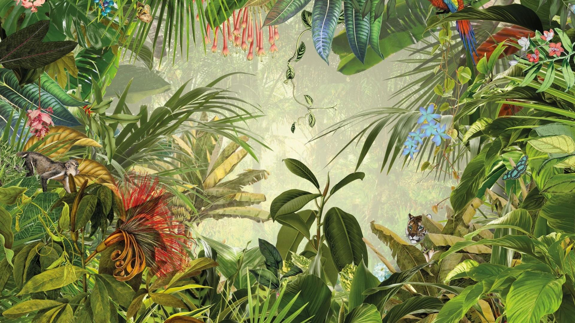 1920x1080 Tropical Leaf Wallpaper