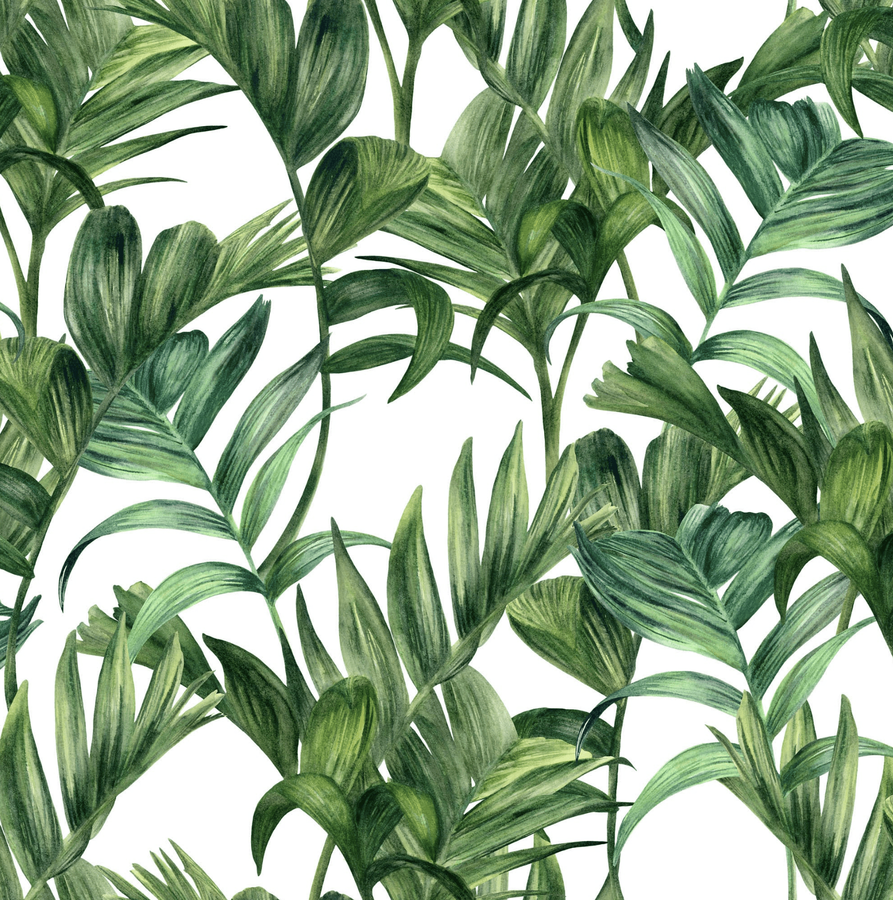 1746x1760 Foliage Wallpaper. Prints, Background, Art