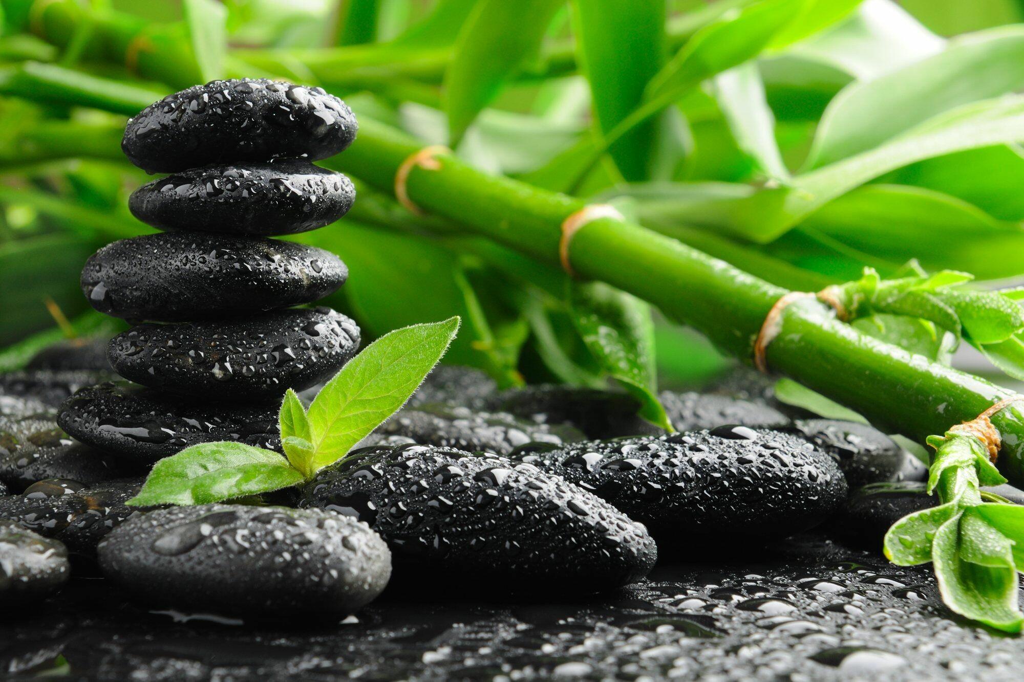 2000x1333 Zen Nature Wallpaper: HD, 4K, 5K for PC and Mobile. Download free image for iPhone, Android