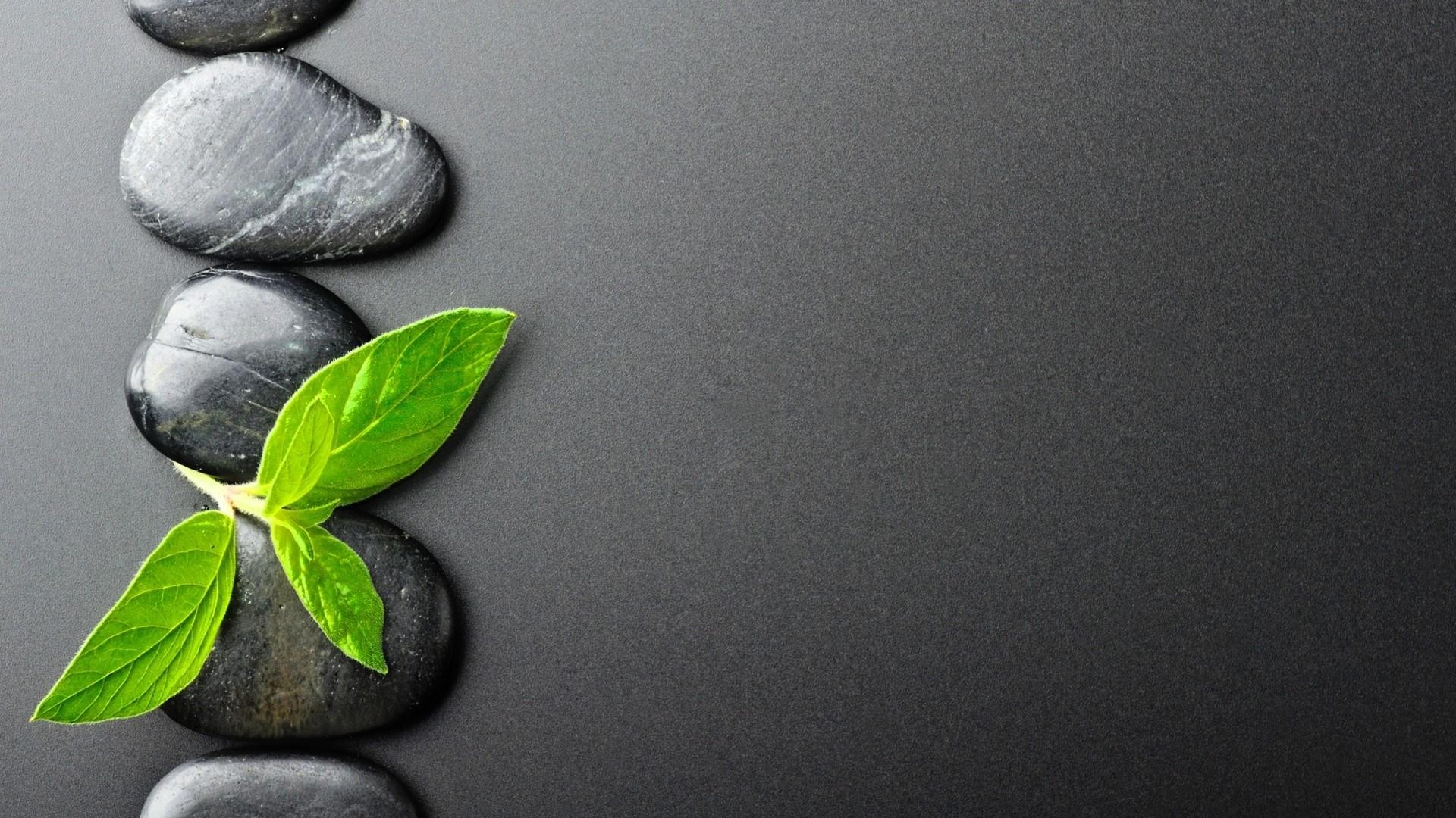 1920x1080 Zen Wallpaper