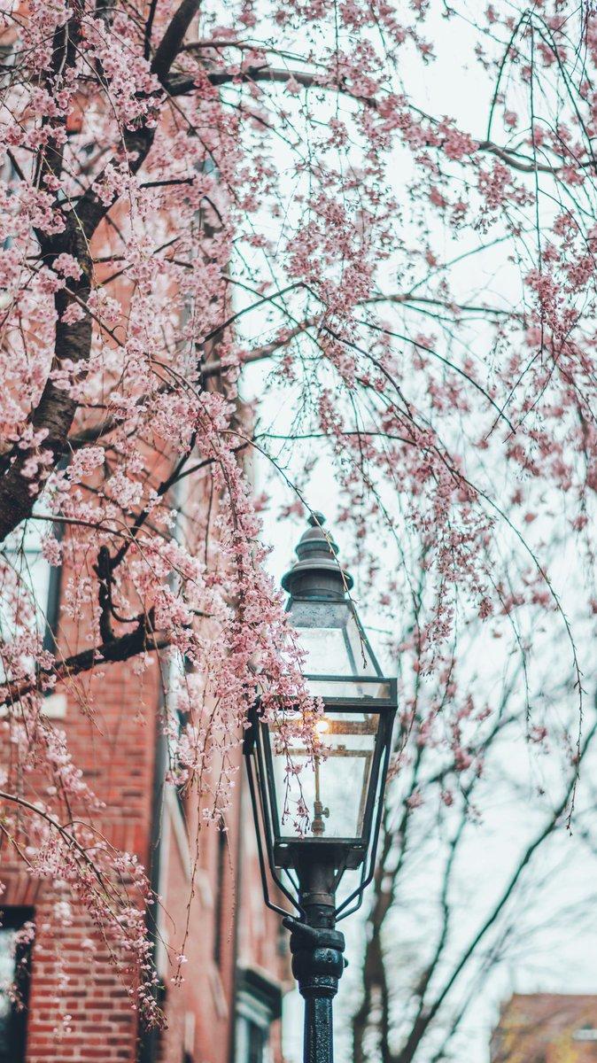 674x1200 Brandon Woelfel wallpaper made