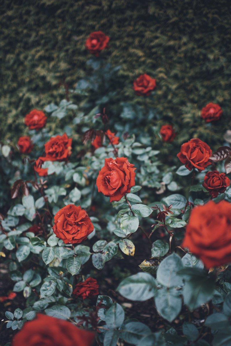 799x1200 Brandon Woelfel