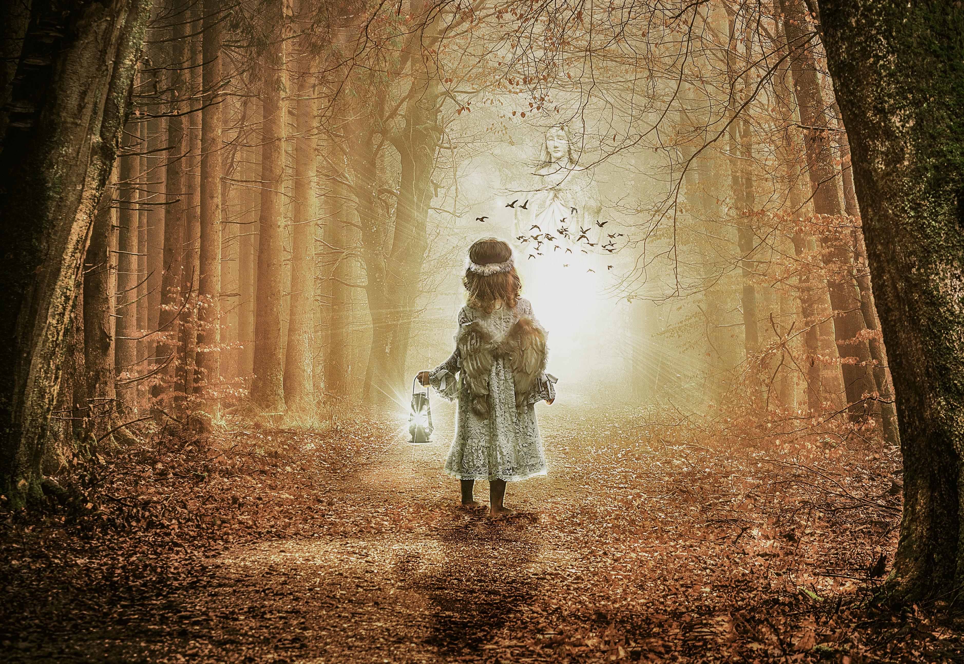3755x2590 #Angel wings, #Leaves, #Fairy, K, #Forest, #Child, #Lantern, #Autumn, #Foliage, #Alone, #Girl Gallery HD Wallpaper